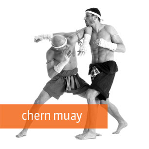 Featured image of post Muay Boran Techniques How to throw a muay thai