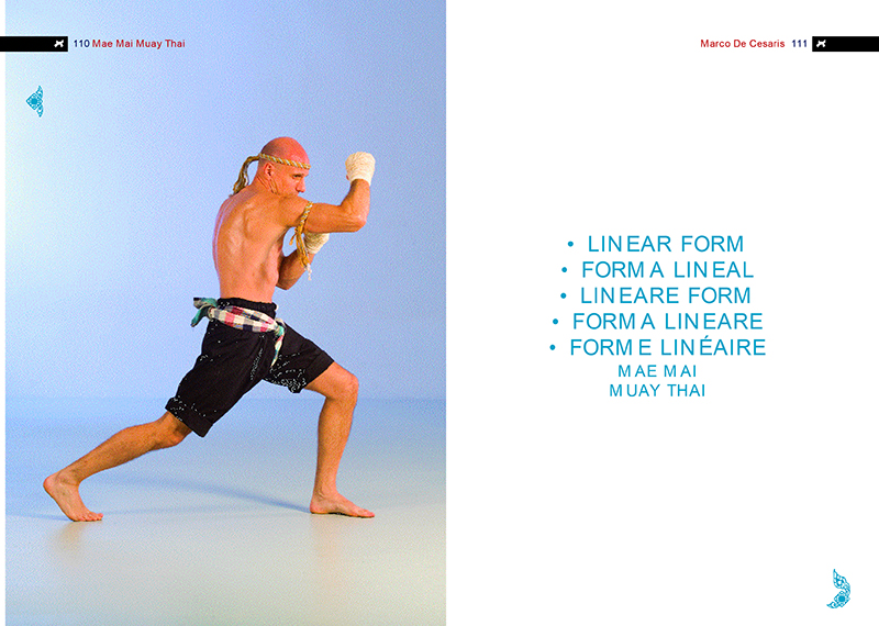 6 libro mae mai Book<br />Mae Mai Muay Thai   The traditional Fighting System of Thailand