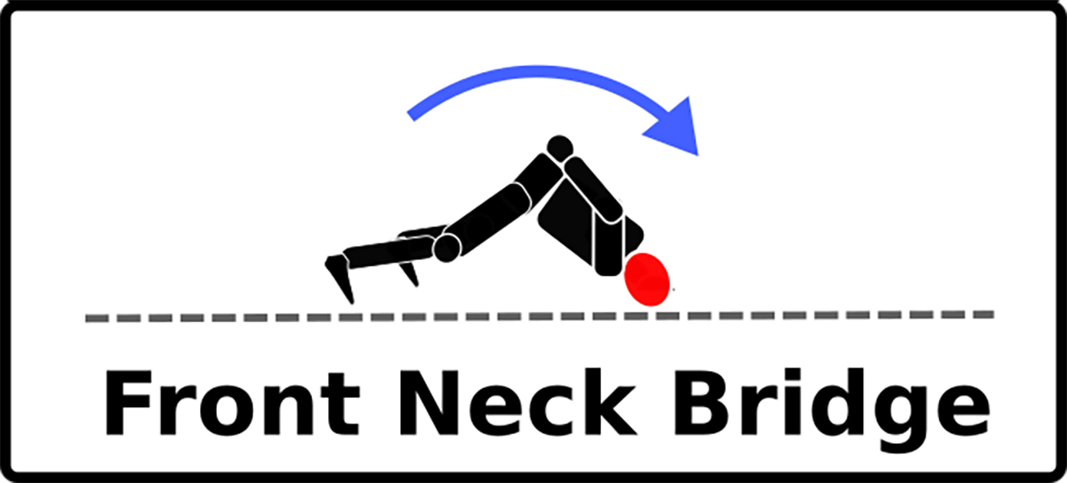 front neck bridge La classica triade della potenza: piegamenti sulle braccia, accosciate, ponte per il collo (parte 1)