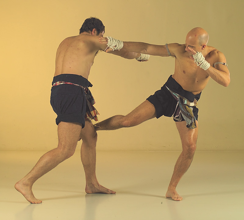 FL9J7956 The Muay Thai low kick:  combat sport technique or martial art technique?