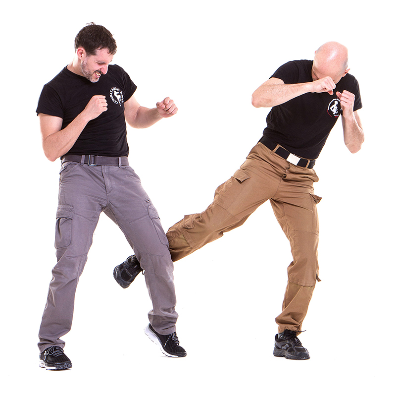 IMG 9926 The Muay Thai low kick:  combat sport technique or martial art technique?