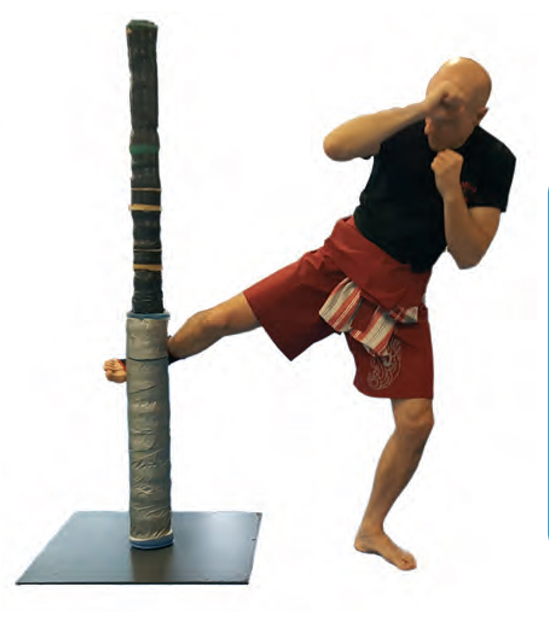 Training post The Muay Thai low kick:  combat sport technique or martial art technique?