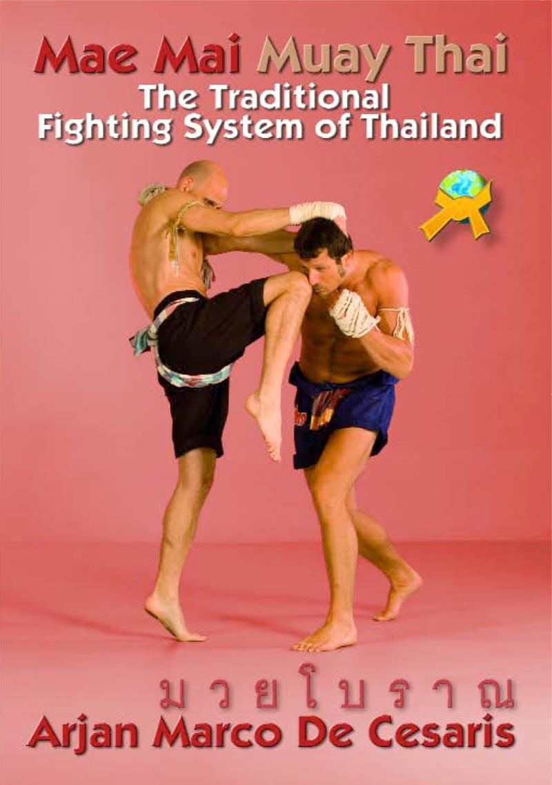 I will learn this fighting style  Muay thai, Técnicas de muay