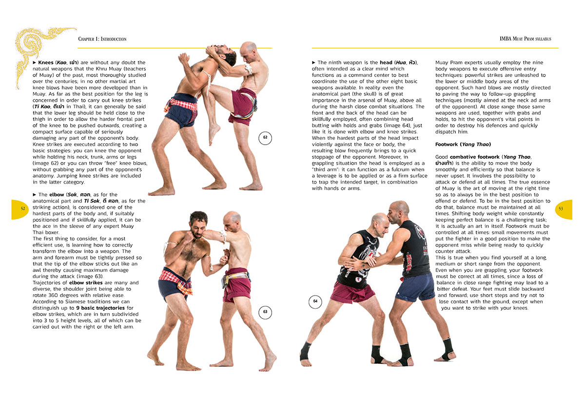 The-Art-of-Thai-Grappling-page-2