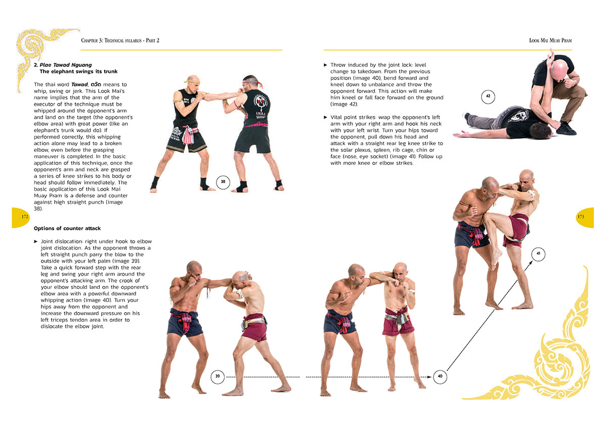 The-Art-of-Thai-Grappling-page-5